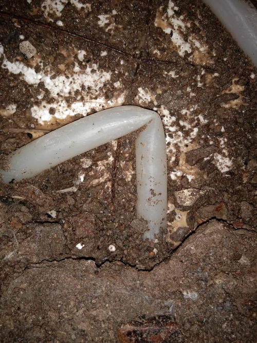 临江堵点精准查找